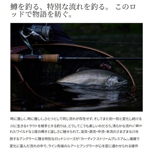 24 カーディフ ストリーム プレミアム